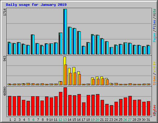 Daily usage for January 2019