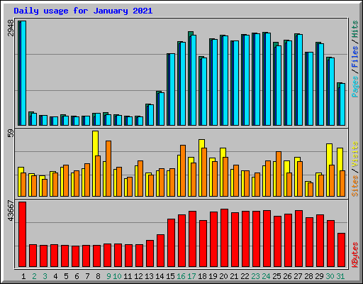 Daily usage for January 2021