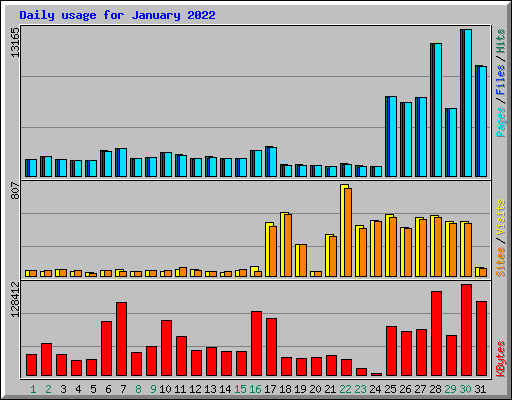 Daily usage for January 2022