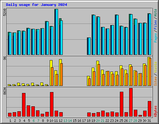 Daily usage for January 2024