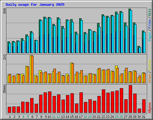 Daily usage for January 2025
