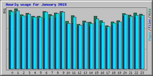 Hourly usage for January 2019