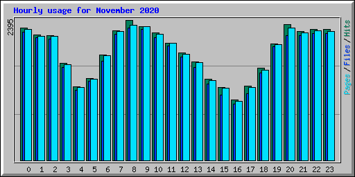 Hourly usage for November 2020