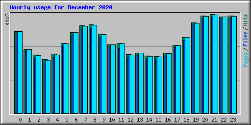 Hourly usage for December 2020