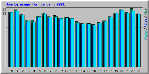 Hourly usage for January 2021