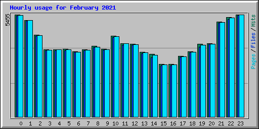 Hourly usage for February 2021