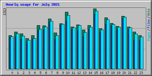 Hourly usage for July 2021