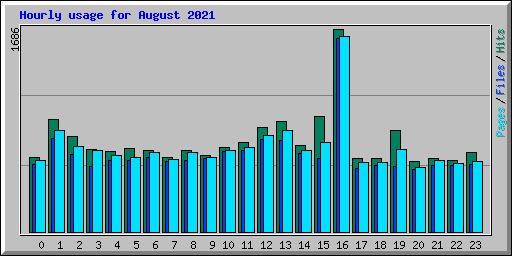Hourly usage for August 2021