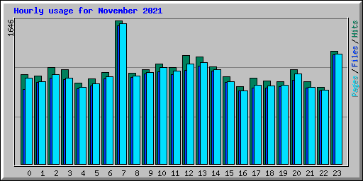 Hourly usage for November 2021