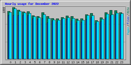 Hourly usage for December 2022