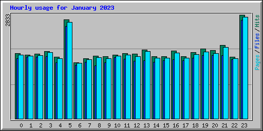 Hourly usage for January 2023