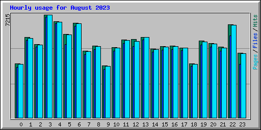 Hourly usage for August 2023