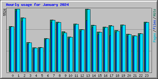 Hourly usage for January 2024