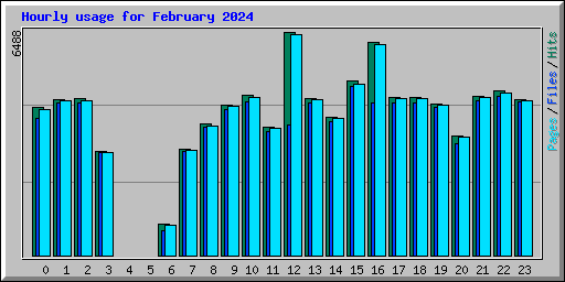 Hourly usage for February 2024