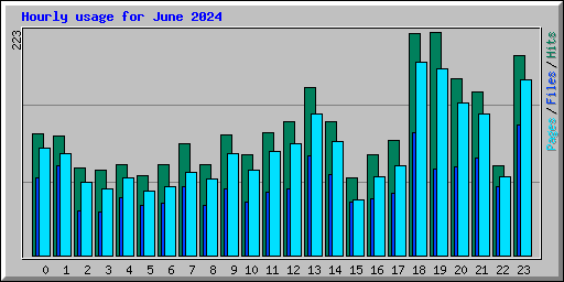 Hourly usage for June 2024