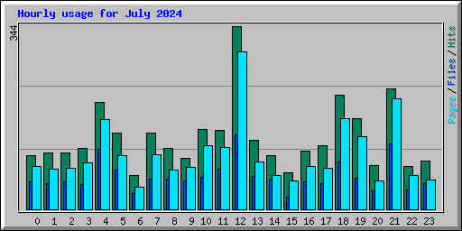 Hourly usage for July 2024