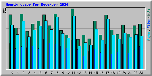 Hourly usage for December 2024
