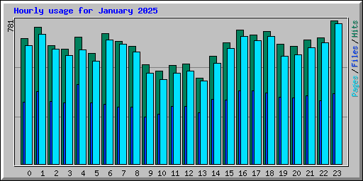 Hourly usage for January 2025