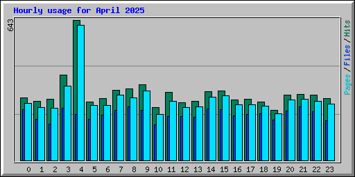 Hourly usage for April 2025