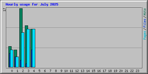 Hourly usage for July 2025