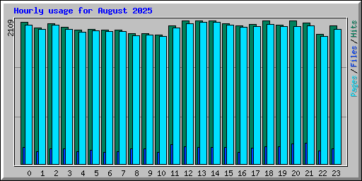 Hourly usage for August 2025
