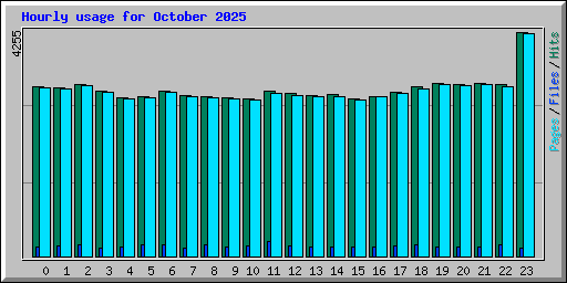 Hourly usage for October 2025