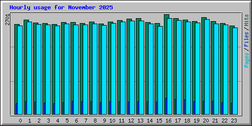 Hourly usage for November 2025