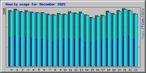 Hourly usage for December 2025