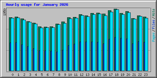 Hourly usage for January 2026